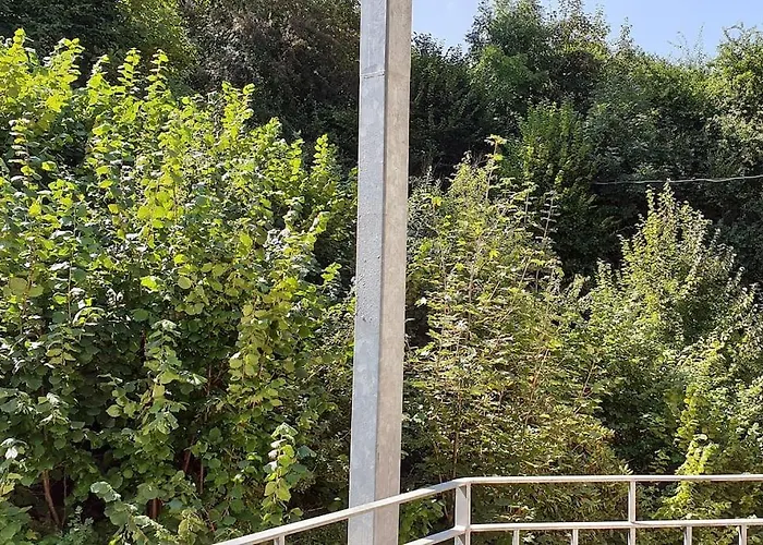 Apartment My Place In