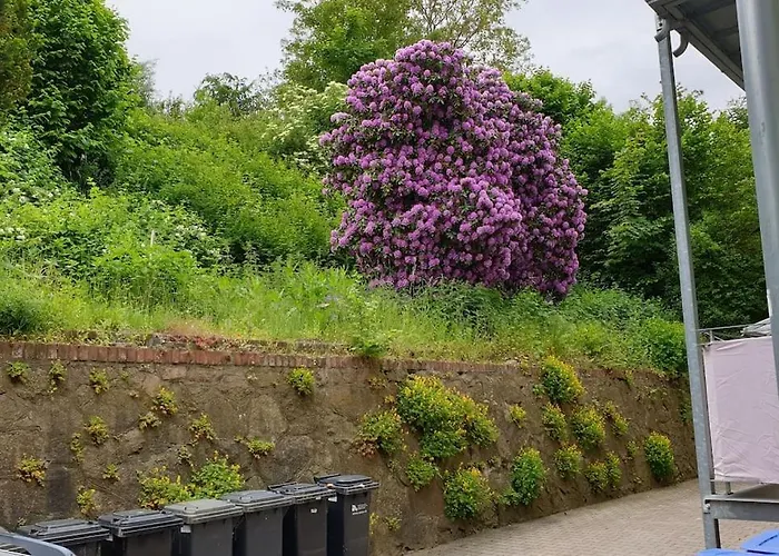 My Place In Apartment *